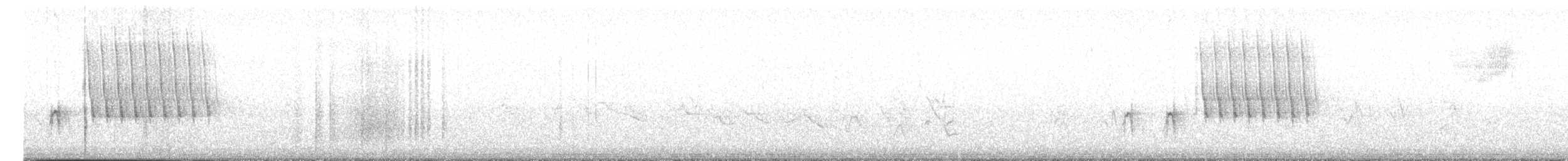 Тауї плямистий (підвид macronyx) - ML615089093