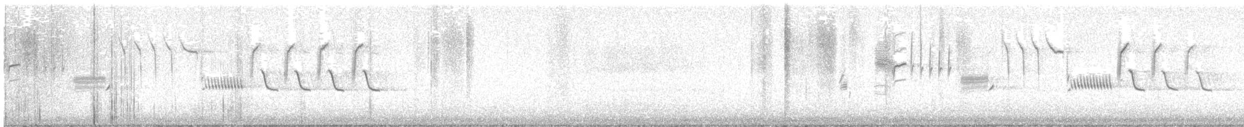 Bewick's Wren - ML615093549