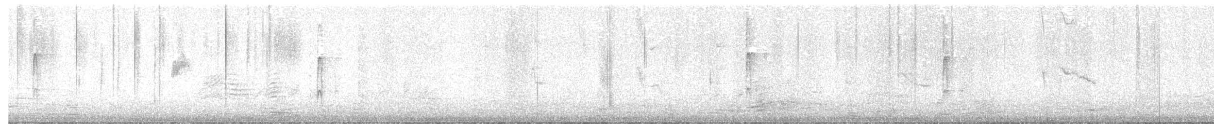 Ladder-backed Woodpecker - ML615095533