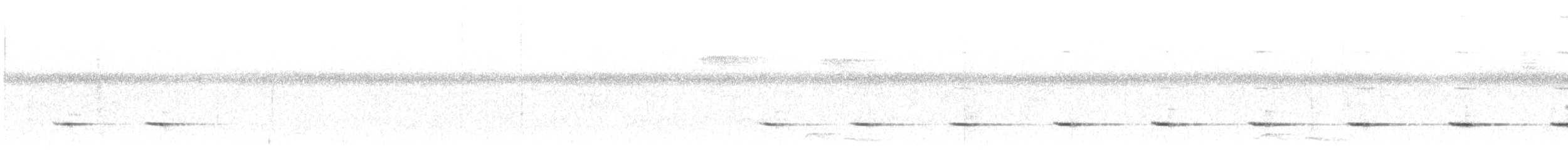 Шпалюшок амазонійський (підвид luscinia) - ML615101917