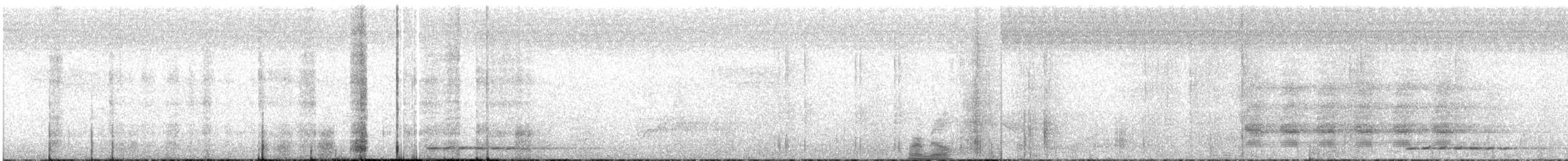 Ratchet-tailed Treepie - ML615106333