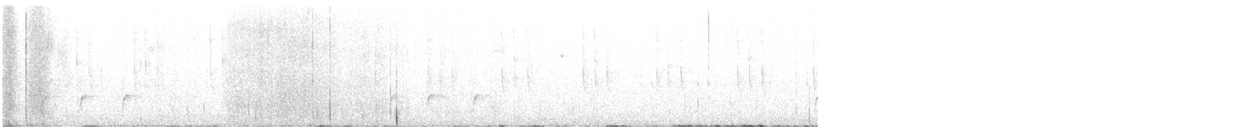 Colibri à oreilles blanches - ML615111134