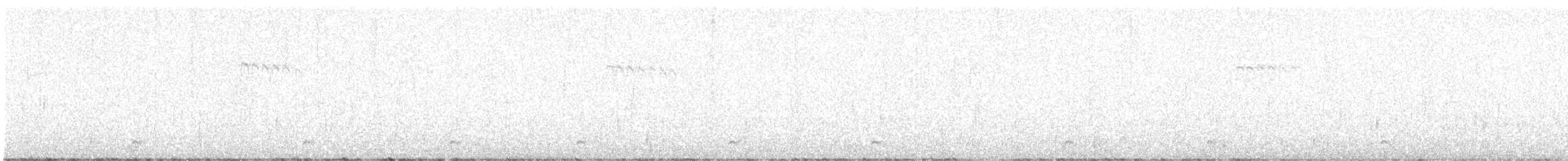 Chevêchette naine - ML615112141
