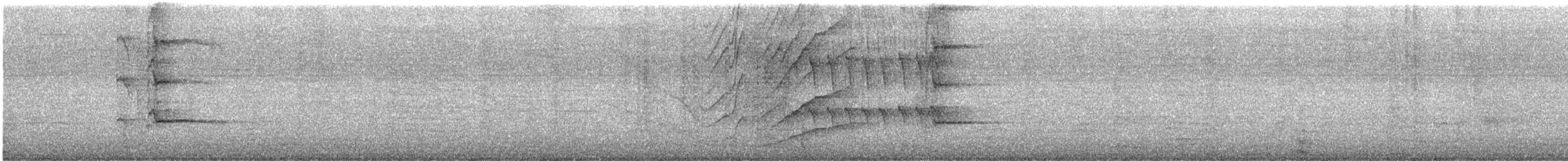 storhaletrupial (mexicanus gr.) - ML615114109