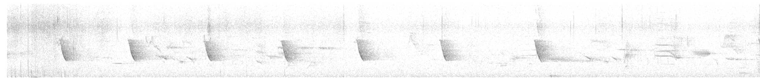 Елепайо гавайський (підвид ridgwayi) - ML615114455