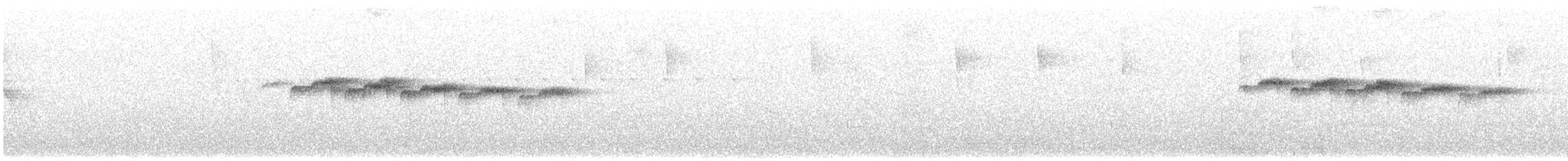 Beyaz Gerdanlı Karıncakuşu - ML615117902