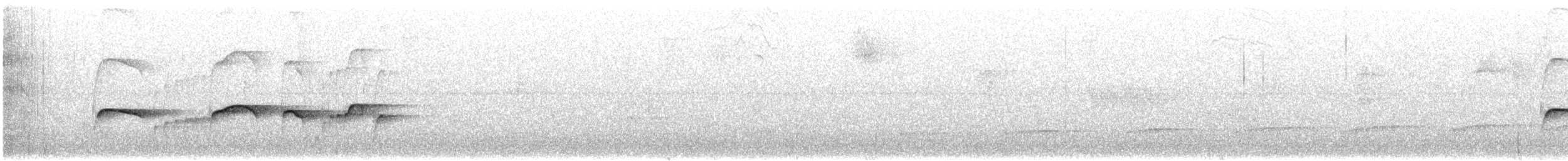 Atlantik Karınca Tiranı - ML615117918