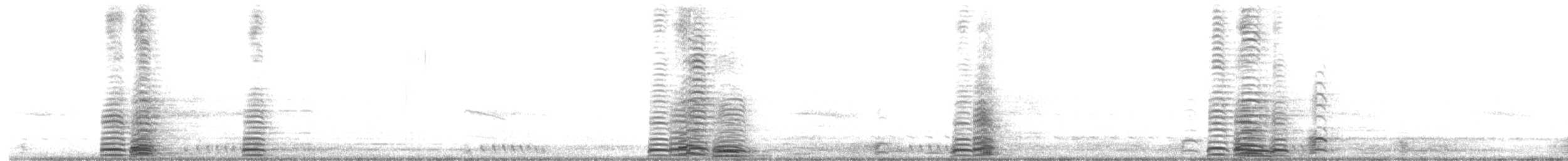 Cisne Trompetero - ML615118770