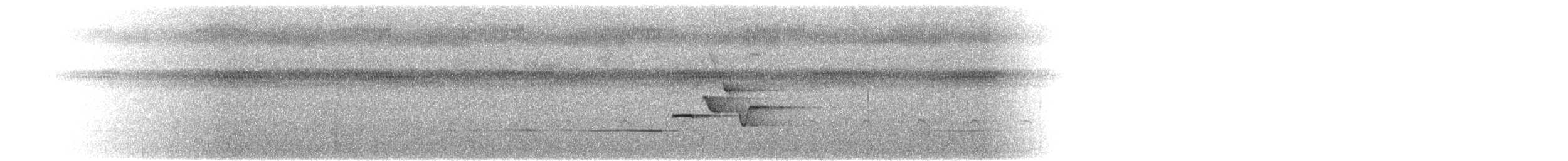Широкохвістка фіджійська - ML615121347