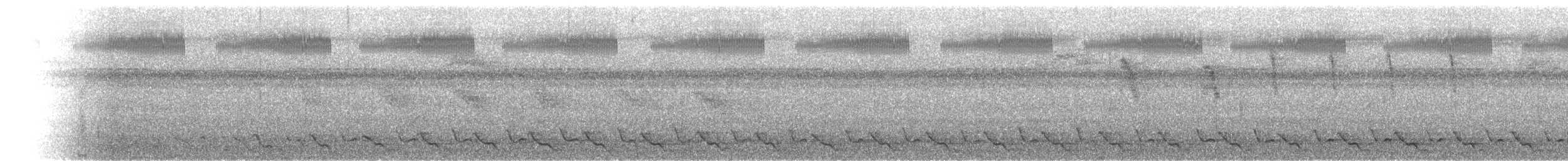 Méliphage de Viti Levu - ML615123160