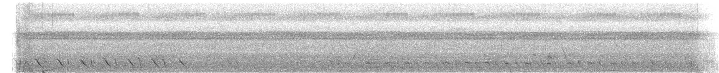 Méliphage de Viti Levu - ML615123411