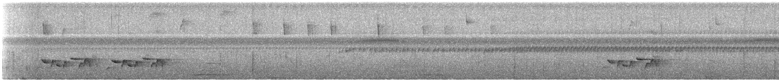 Troglodyte à poitrine grise - ML615124598