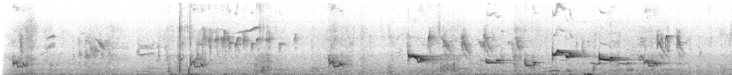Тирч плямистоволий - ML615124910
