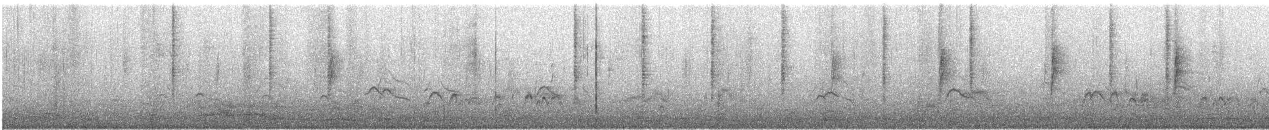Цинантус синьогорлий - ML615125613