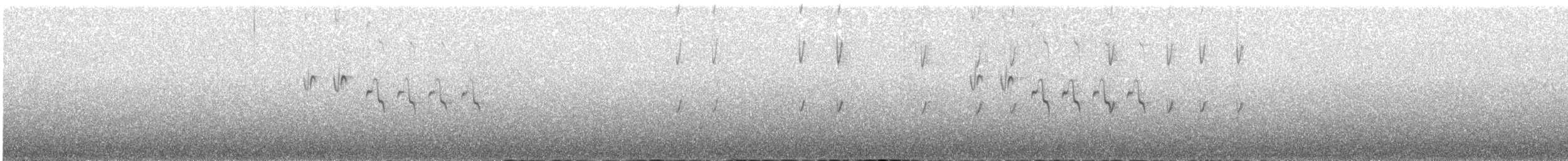 Red Crossbill - ML615127237