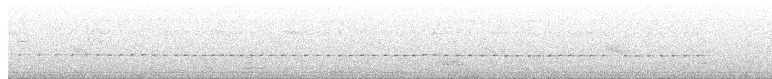 Медолюб-шилодзьоб східний - ML615127581