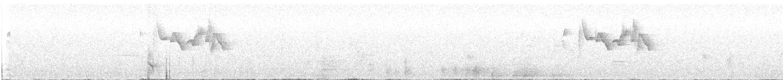 Gray-hooded Warbler - ML615127961