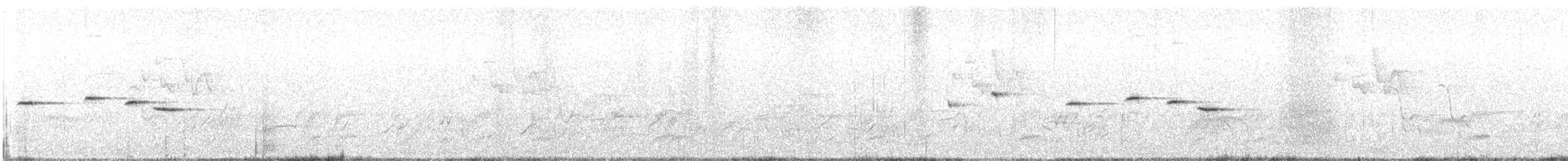 Белошейная веерохвостка - ML615128062