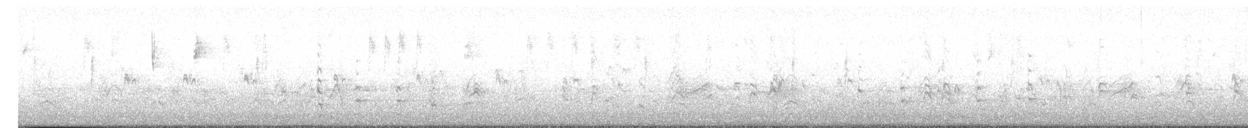 Гіла золотоголова (підвид aurifrons) - ML615128231