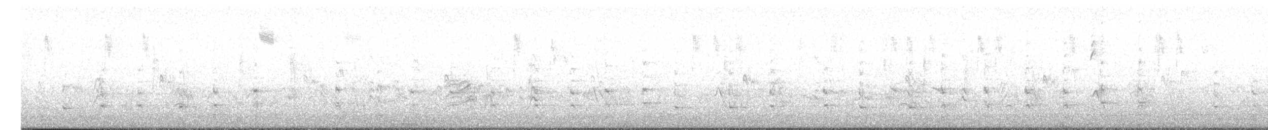 キバナシマセゲラ（aurifrons） - ML615128242