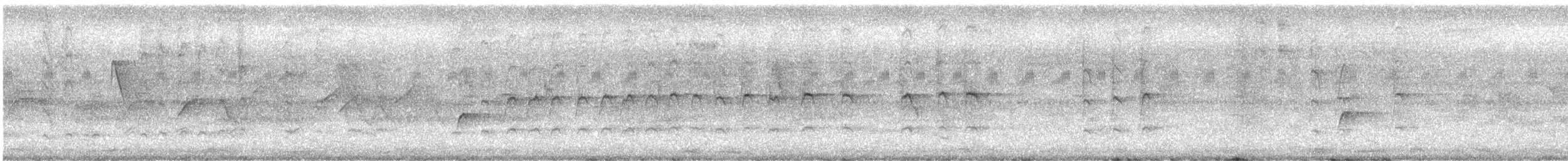 Пестрогрудый нектаролюб - ML615132067