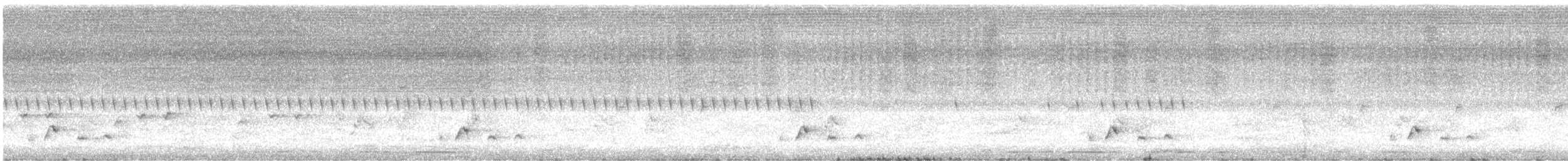 Çizgili Panterkuşu [melanocephalus grubu] - ML615132351