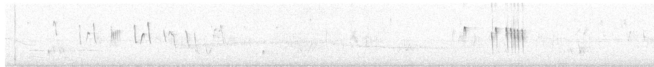 Weißscheitel-Kleintyrann - ML615133336
