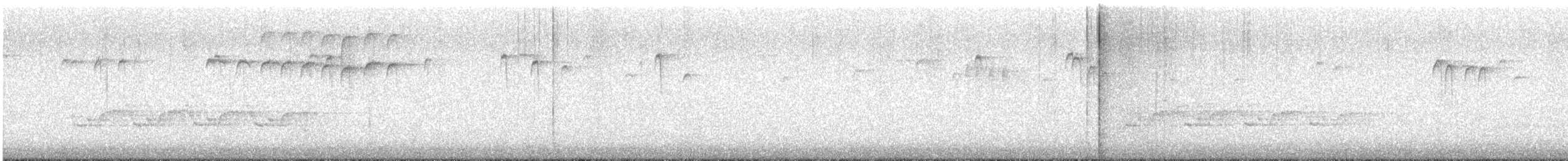 Каролинский крапивник - ML615134709