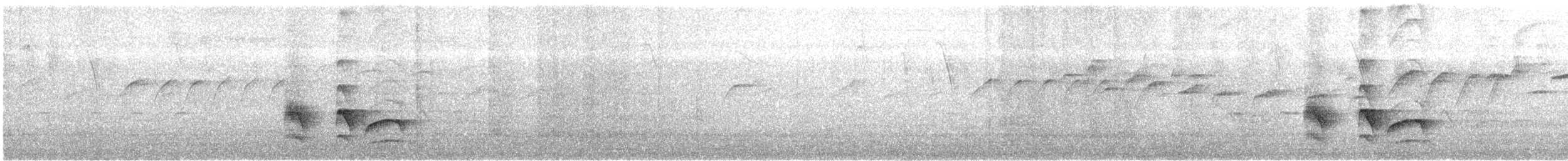 Büyük Kiskadi Tiranı - ML615134870