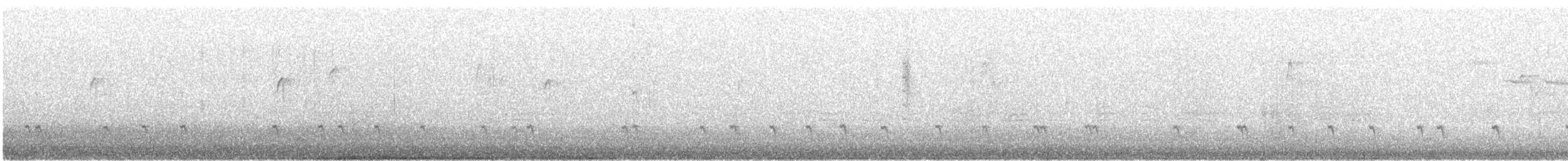 "Шишкар ялиновий (Northeastern, або тип 12)" - ML615135702
