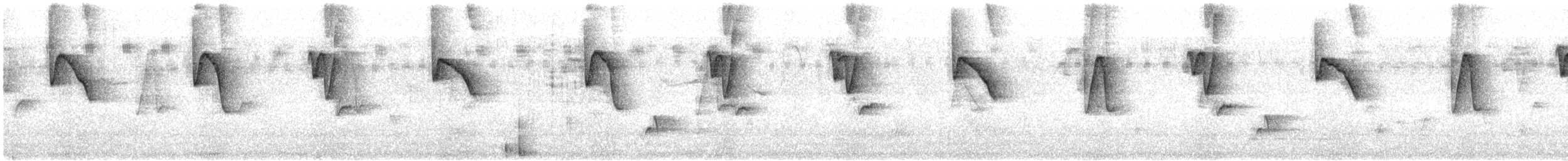 オジロユミハチドリ - ML615136093