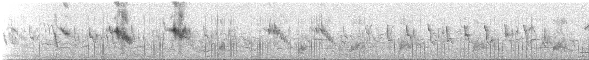 Хар тодол - ML615136469