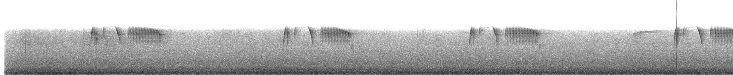 Tyranneau à tête cendrée - ML615137275