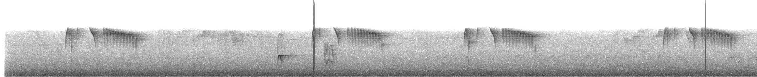 Tyranneau à tête cendrée - ML615138137