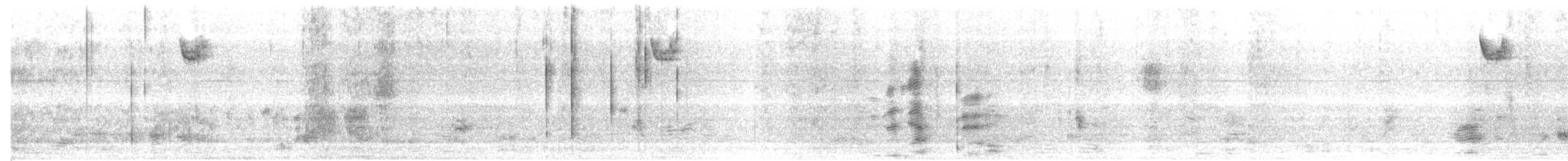 Белогорлая зонотрихия - ML615140194