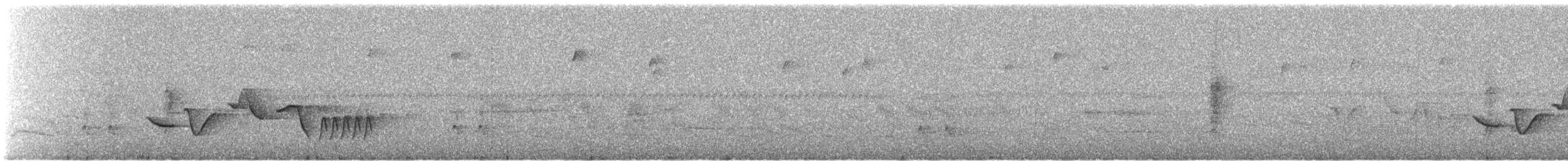 Troglodyte de Sclater - ML615140561