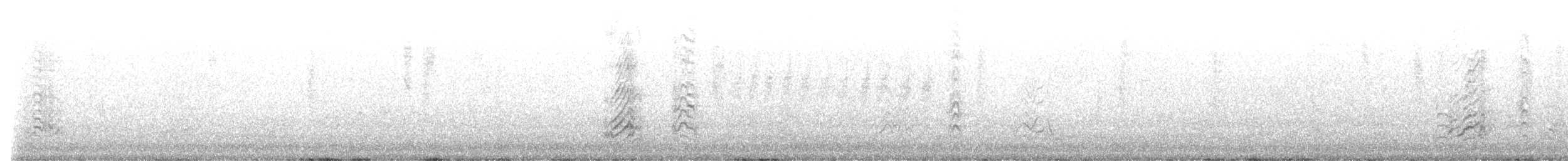 烏領燕鷗 - ML615140770
