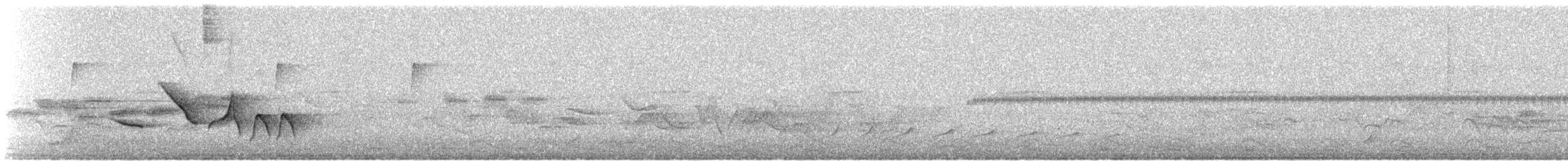 Поплітник плямистоволий - ML615141449
