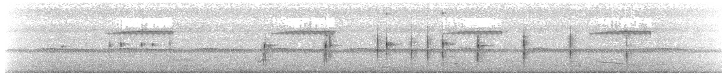 Black-fronted Dotterel - ML615149599