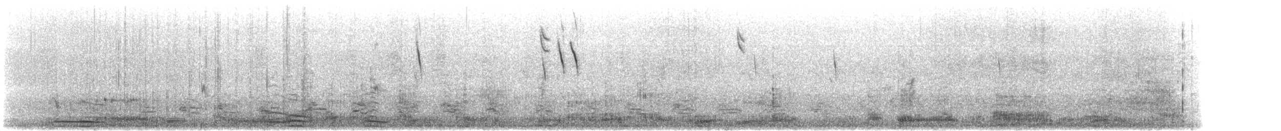 Пелікан рогодзьобий - ML615160163