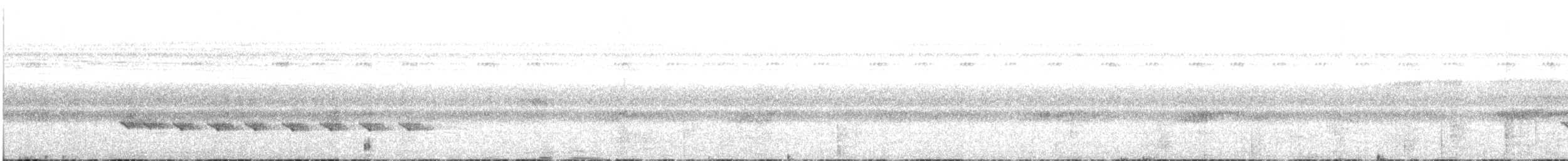 Schwarzscheitel-Ameisenvogel (minor/jensoni) - ML615161553