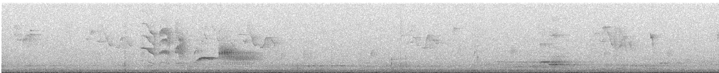 Kara Gıdılı Çalı Timalyası - ML615163069