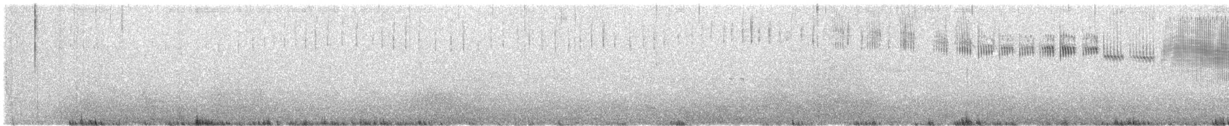 Карнатка лучна - ML615165230