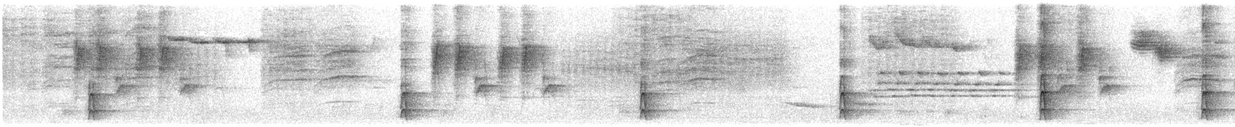 strakapoud bělohřbetý (ssp. owstoni) - ML615170102