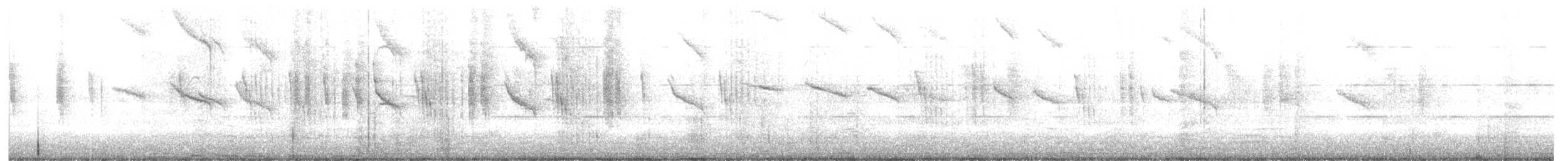sylfa červenoocasá - ML615170206