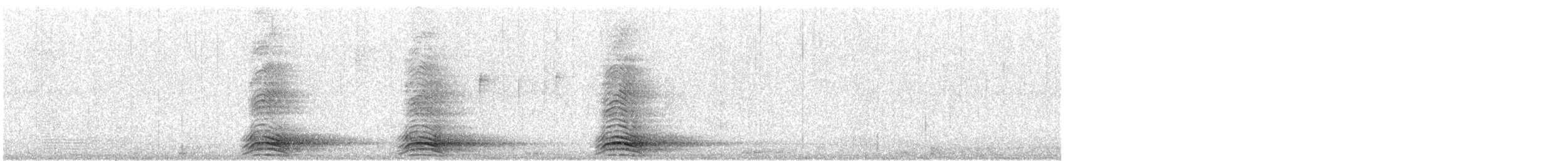 巨嘴鴉(macrorhynchos群) - ML615170212