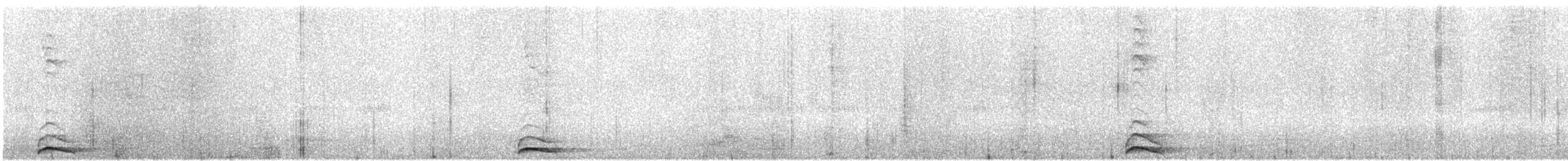 蘭嶼角鴞 - ML615170486