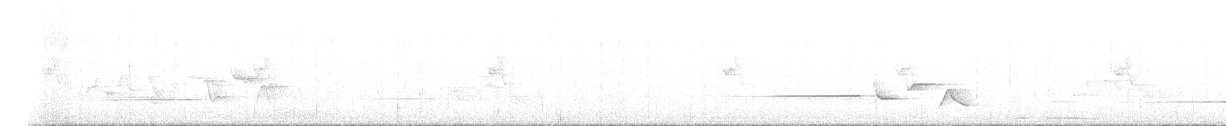 skjellkronestubbstjert - ML615171163