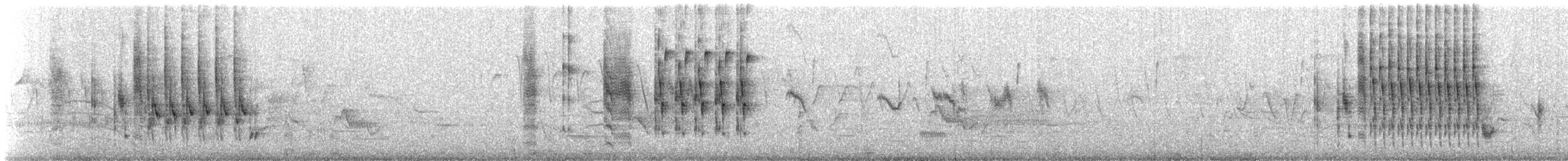 myrsmett (palustris gr.) - ML61517811