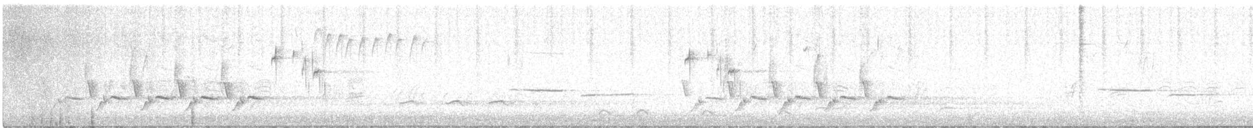 Carolina Wren - ML615180574